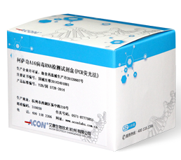柯萨奇A16病毒RNA检测试剂盒（PCR荧光法）_凯发K8国际生物技术（杭州）有限公司.png