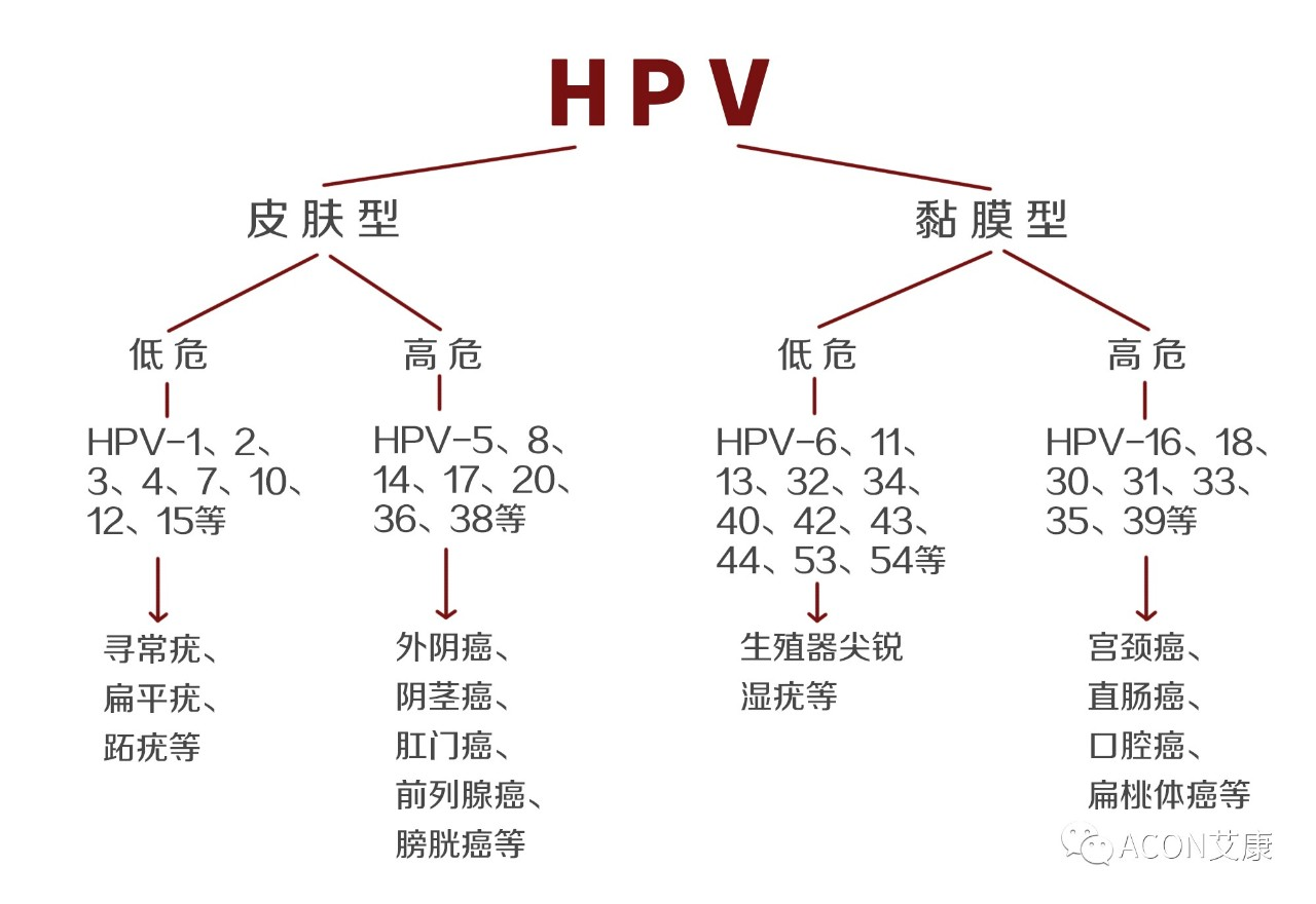 HPV疫苗有必要打吗？二价、四价、九价要如何选择！