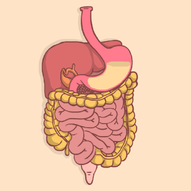 微信图片_20210304111840.gif 微信图片_20210304111840.gif