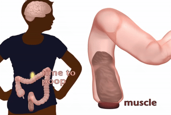 微信图片_20210304113658.gif 微信图片_20210304113658.gif