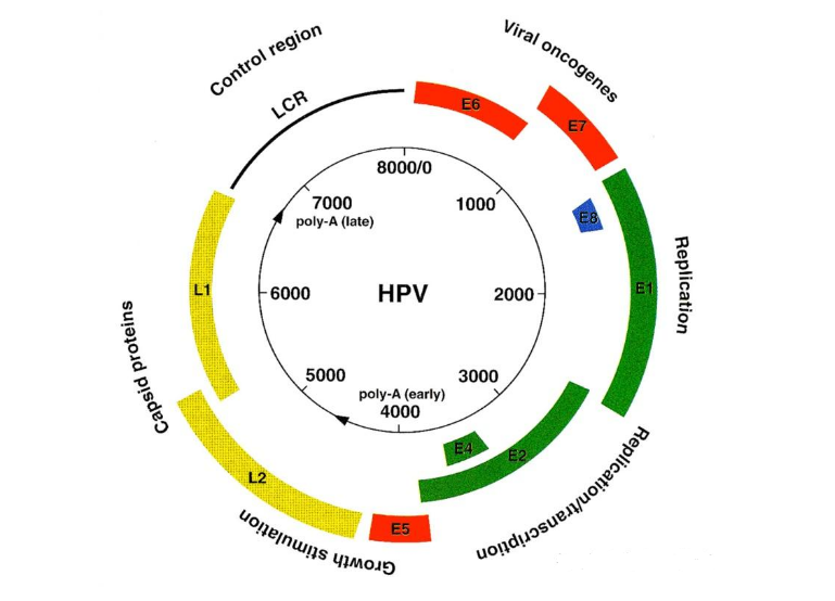 微信图片_20231214085447.png 微信图片_20231214085447.png